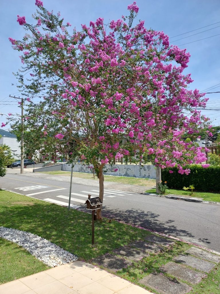 LINDA CASA COM POMAR- CONDOMÍNIO BELLA CITTÀ LINDA CASA COM POMAR- CONDOMÍNIO BELLA CITTÀ